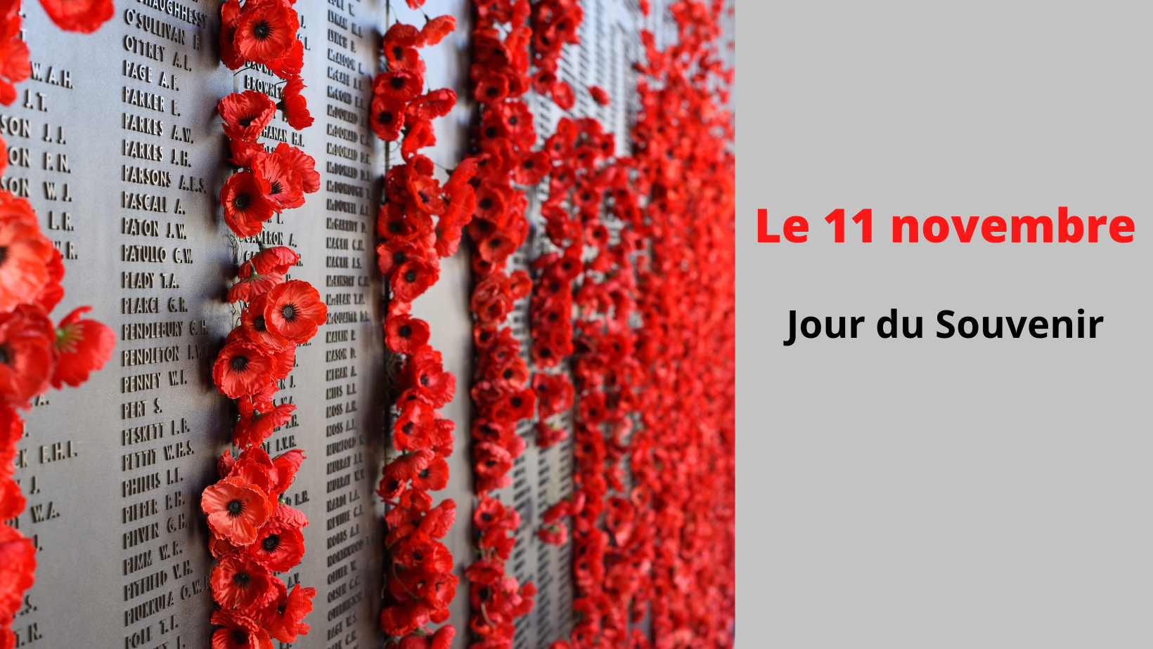 Le 11 novembre, Jour du souvenir — CSSDHR